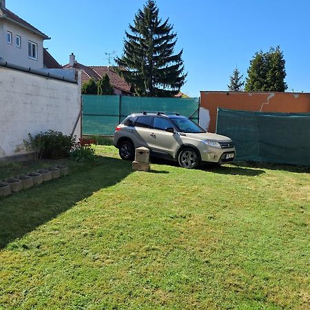 Ubytování nad sklípkem Valtice Exterior foto