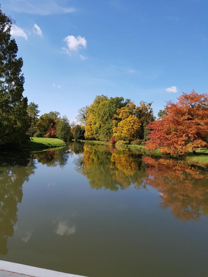 Ubytování nad sklípkem Valtice Exterior foto