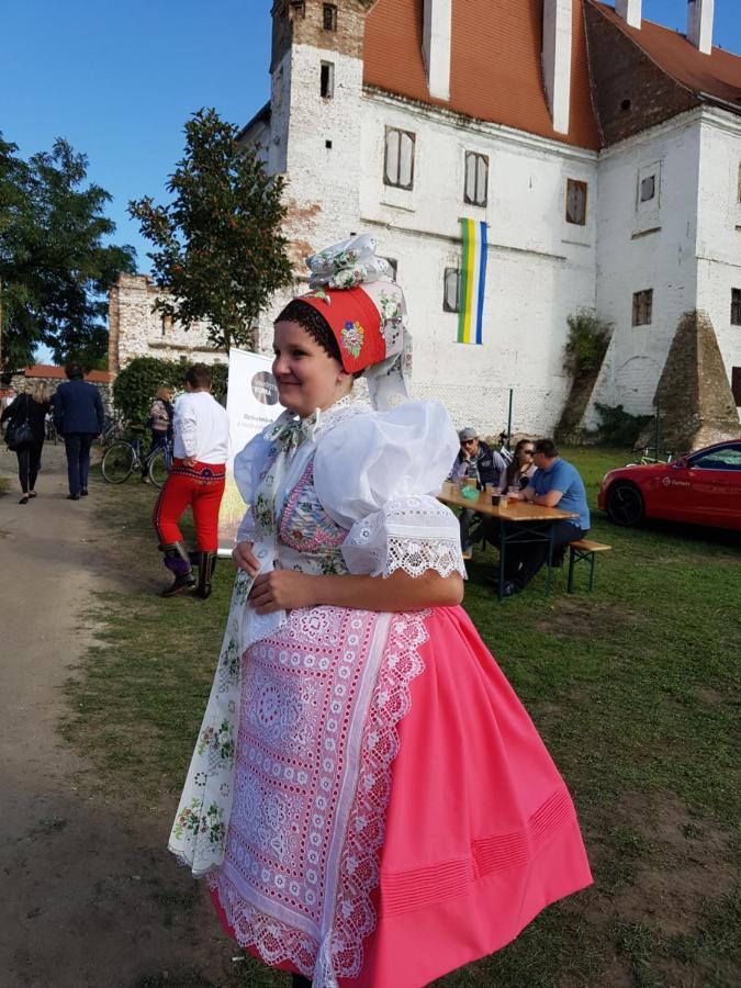 Ubytování nad sklípkem Valtice Exterior foto